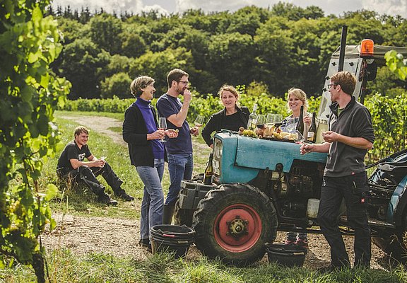 SAUERWEINS Weingut (3)