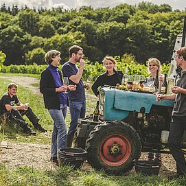 SAUERWEINS Weingut (3)