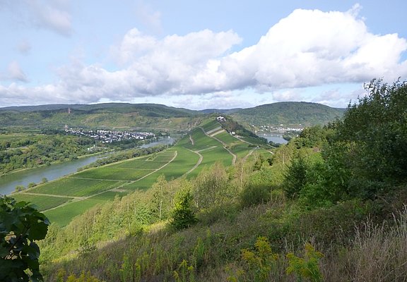 Moselschleife rund um Marienburg und Aussichtsturm Prinzenkopf
