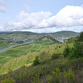 Moselschleife rund um Marienburg und Aussichtsturm Prinzenkopf