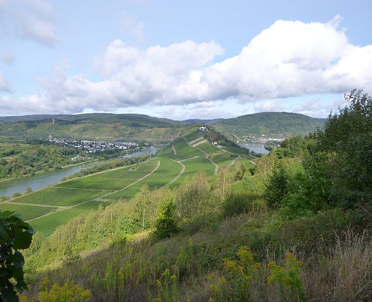 Moselschleife rund um Marienburg und Aussichtsturm Prinzenkopf