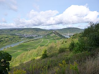 Moselschleife rund um Marienburg und Aussichtsturm Prinzenkopf