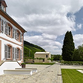 Gästehaus-Weingut Cantzheim (4)