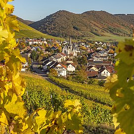 Blick auf Ockfen