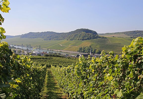 Überraschungs-Wandertour (1)