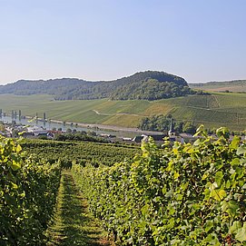 Überraschungs-Wandertour (1)