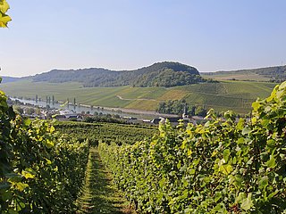 Überraschungs-Wandertour (1)