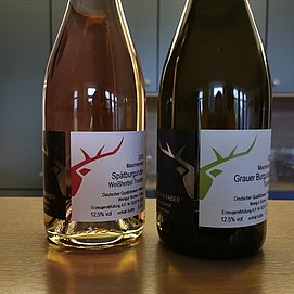 Weingut Maximinerhof (2)