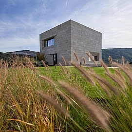 Weingut Van Volxem
