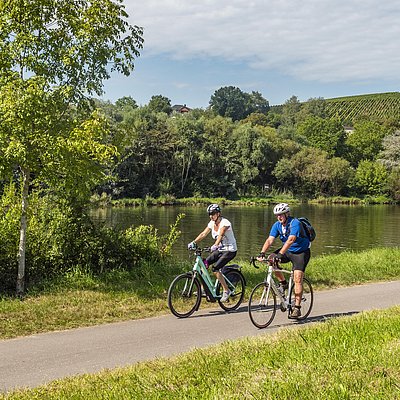 Foto: Saar-Radweg (1)
