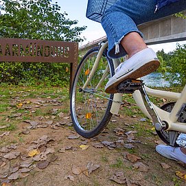 Radfahren in Konz (4)