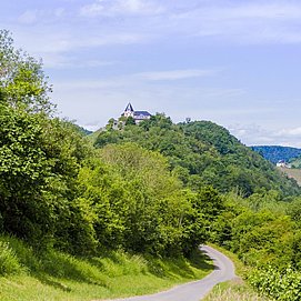 Mosel - Sehenswürdigkeiten - Marienburg - Wanderung - Weinberge - Zeller Land