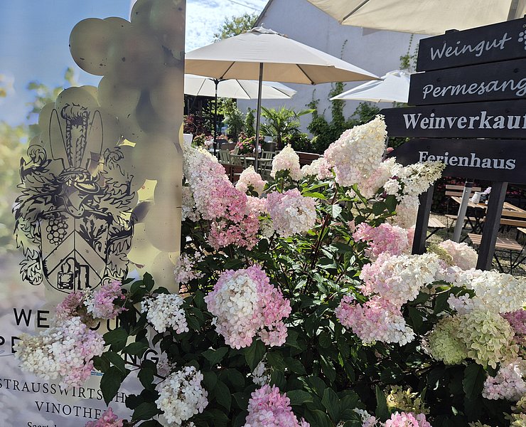 Weingut Permesang (2)