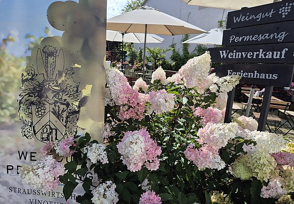 Weingut Permesang (2)