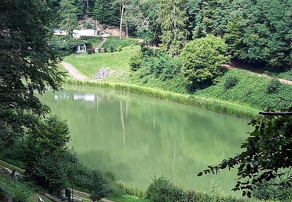 Stausee Trassem