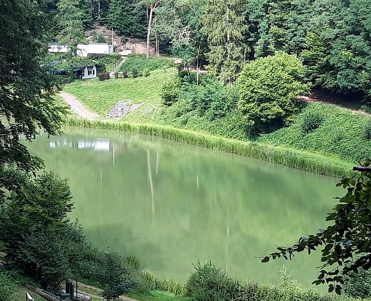Stausee Trassem