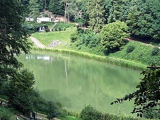 Stausee Trassem