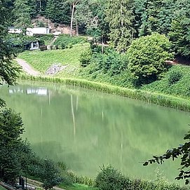 Stausee Trassem