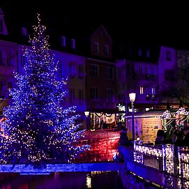 Weihnachtsbaum auf der Leuk