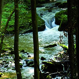 Leukbachtal
