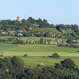 Blick auf Kahren mit Hosteturm (02)