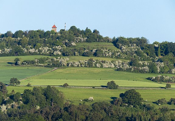 Blick auf Kahren mit Hosteturm (02)
