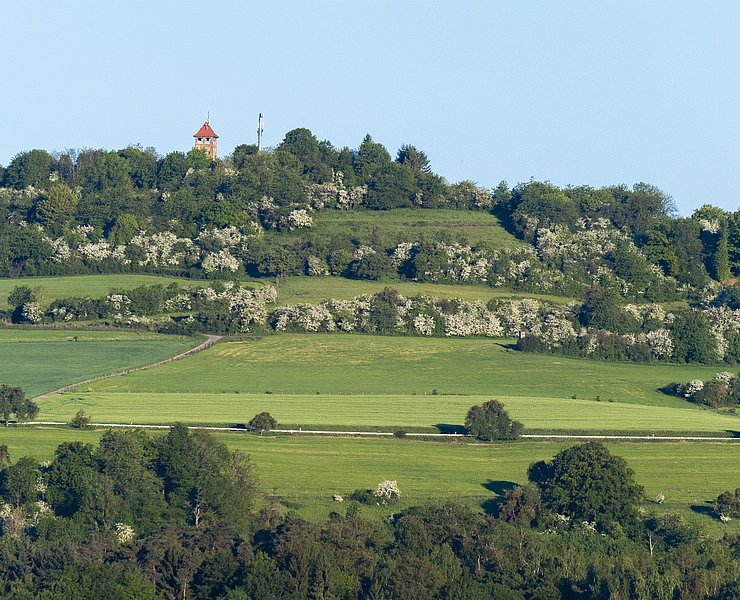 Blick auf Kahren mit Hosteturm (02)