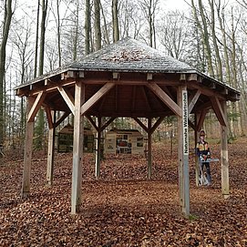 Informationspavillon Naturnahe Waldwirtschaft (1)