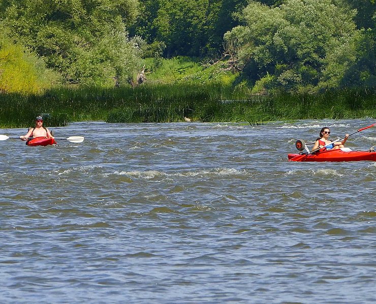 Kanufahren auf der Saar (3)