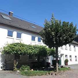 Weingut-Ferienwohnung Jungblut (4)