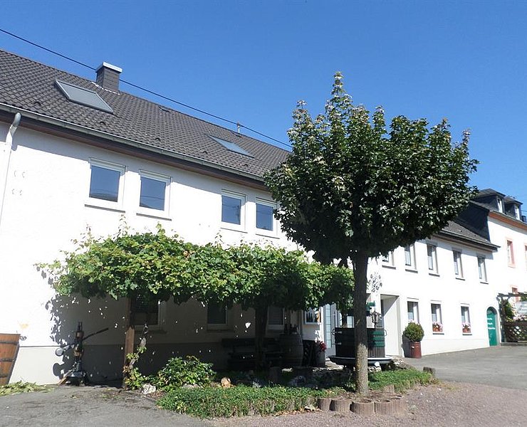 Weingut-Ferienwohnung Jungblut (4)