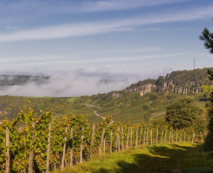 Blick aus den Weinbergen auf Nitteler Felsen