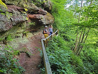 Kollesleuker Schweiz (2)