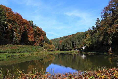 Angelweiher Trassem (1)