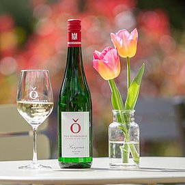Weingut Von Othegraven, Kanzem (02)
