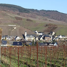 Blick auf den Weinort Kinheim