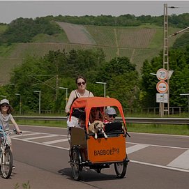 Saar Pedal (4)