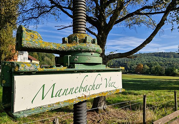 Mannebacher Viez