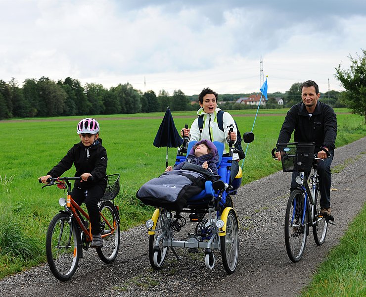 Rollstuhlfahrrad (2)