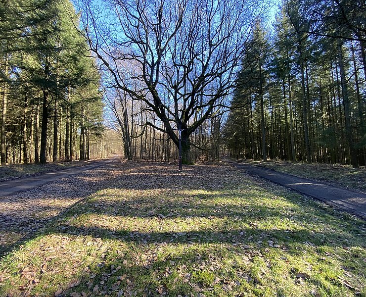 Krohkreuz (02)