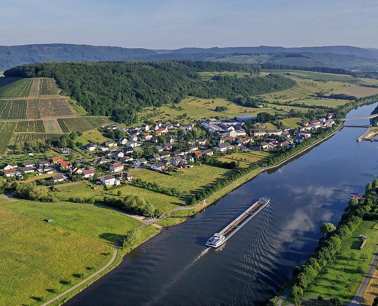 Blick auf die Weinlage Ayler Kupp