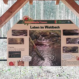Informationspavillon Wald und Wasser (2)