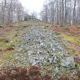 Steinwall der Heidemauer