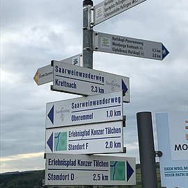 Wandern an der Saar