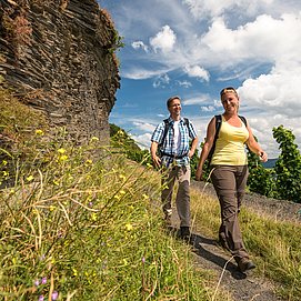 Schieferfelsen entlang des Weges auf dem Brauneberg unterhalb des Kammerfelsens