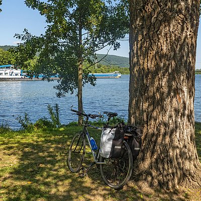 Foto: Moselradweg (2)