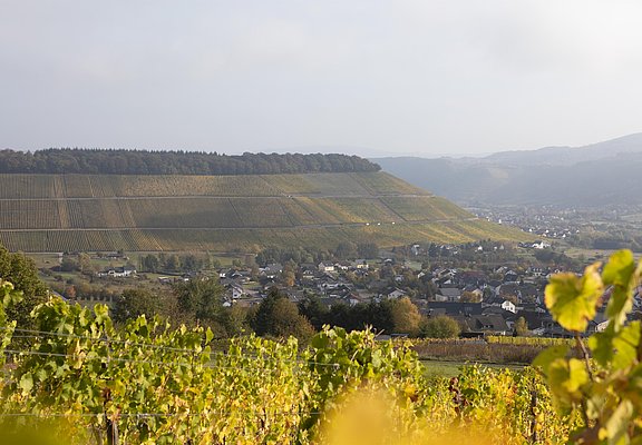 Ayler Kupp (03)