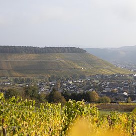 Ayler Kupp (03)