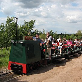 Weinbergsbahn Serrig (2)