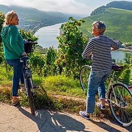 Mosel bei Nittel